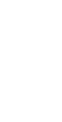 中国茶